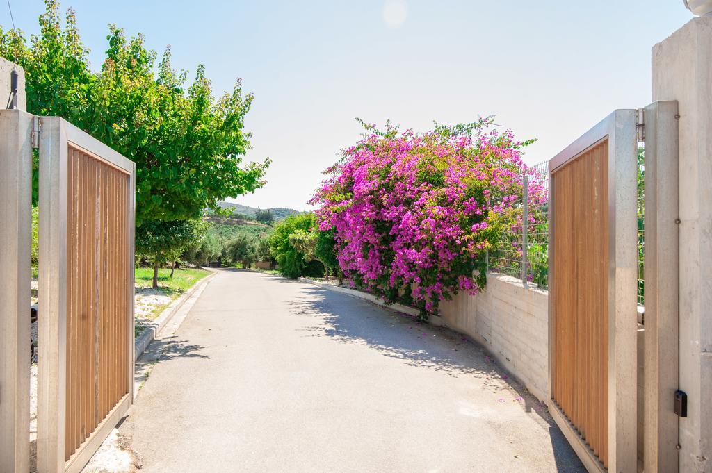 Villa Prigipessa Agia Marina エクステリア 写真